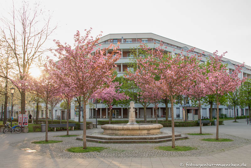 Rundbecken-Brunnen - Gottfried Hansjakob – Denkmal/Kunstwerk in München