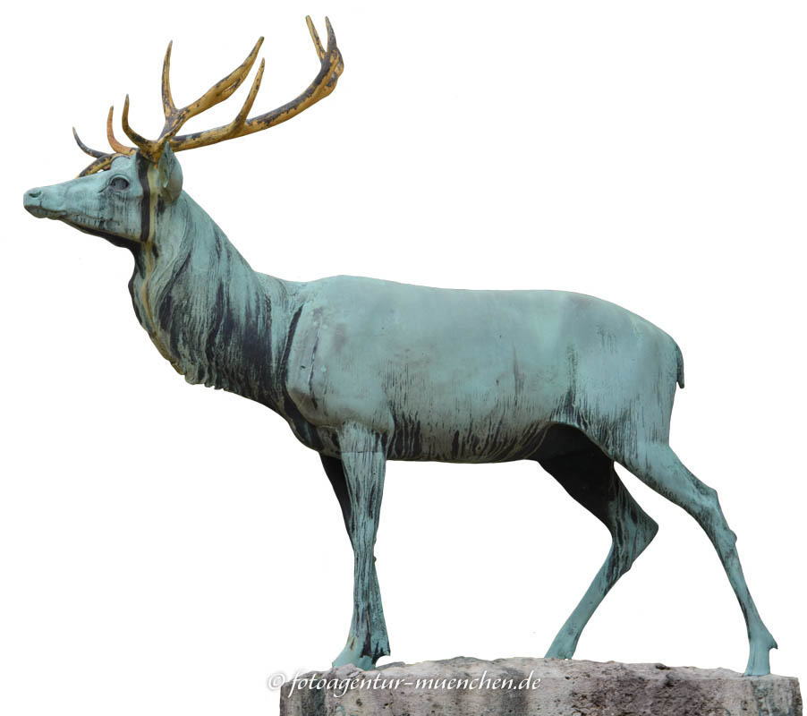 Hirsch Hirsch