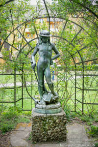 David