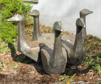 Gänsegruppe