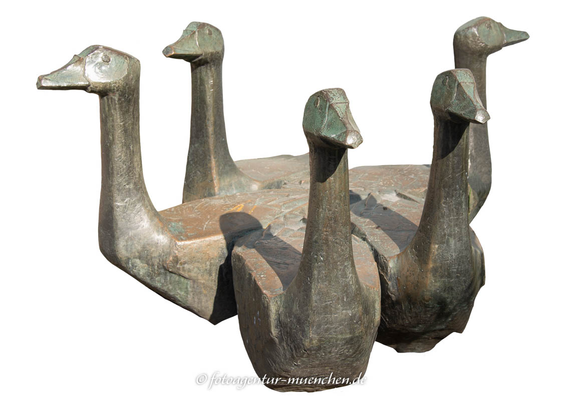 Gänsegruppe Gans