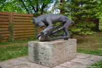 Spielende Hunde