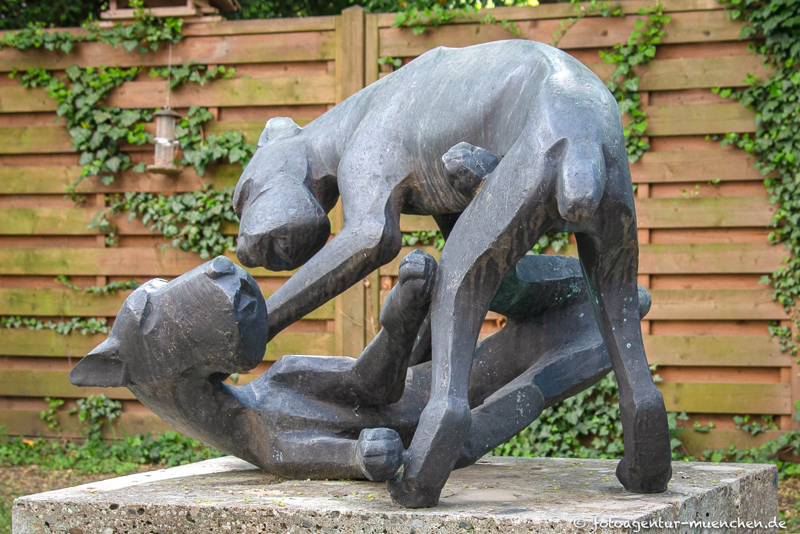 Spielende Hunde