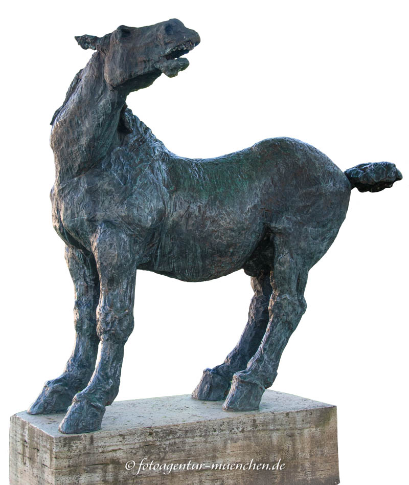 Wieherndes Pferd 1950