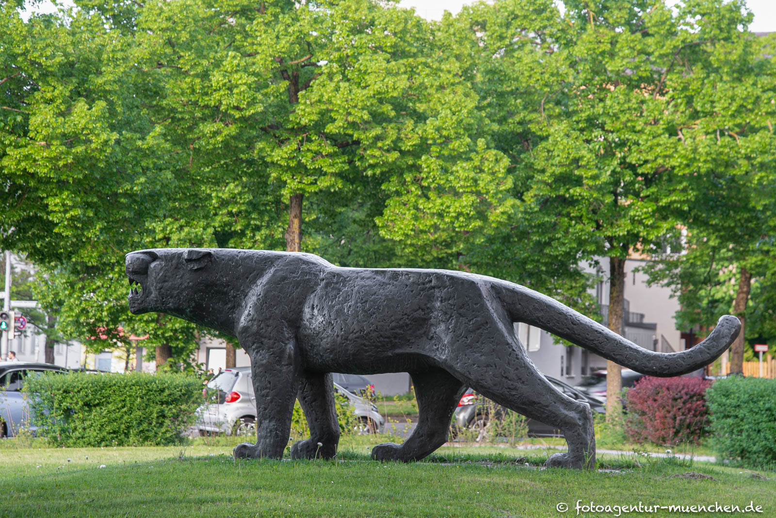 Panther