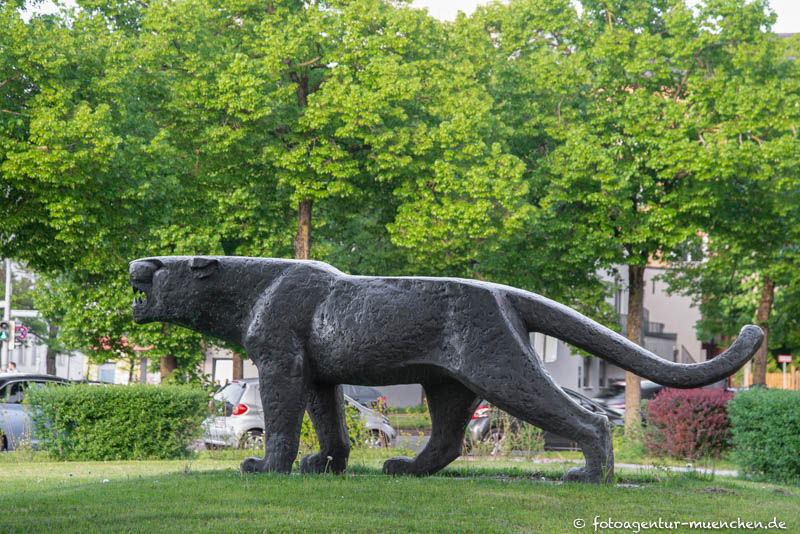 Panther