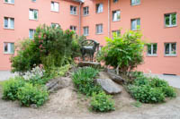 Steinbock