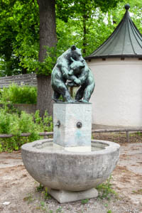 Spielende Bären