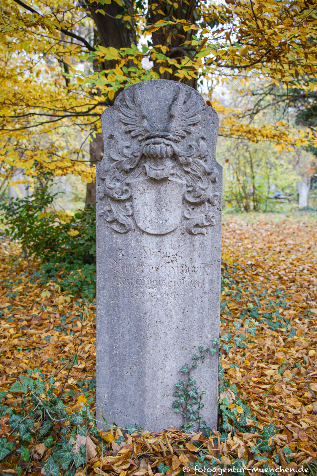 Friedrich von Ziegler