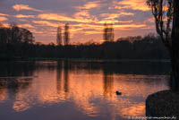 Kleinhesseloher See