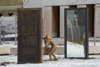 Gerhard Willhalm – Affe - Spiegel
