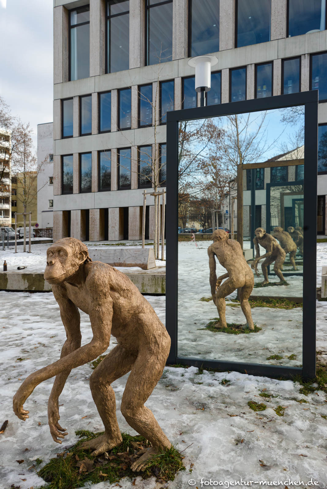 Affe - Spiegel