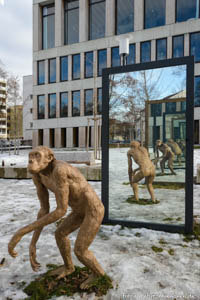 Affe - Spiegel