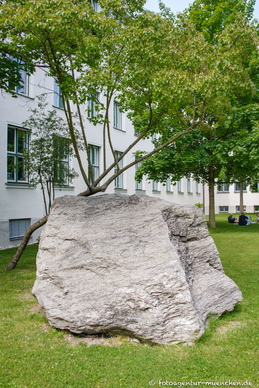 Findling vor dem Geowissenschaftliches Institut