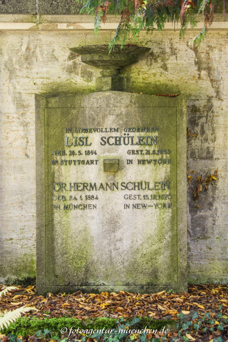 Dr. Hermann Schülein