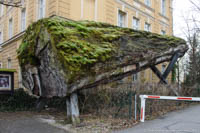 Makoré Baum