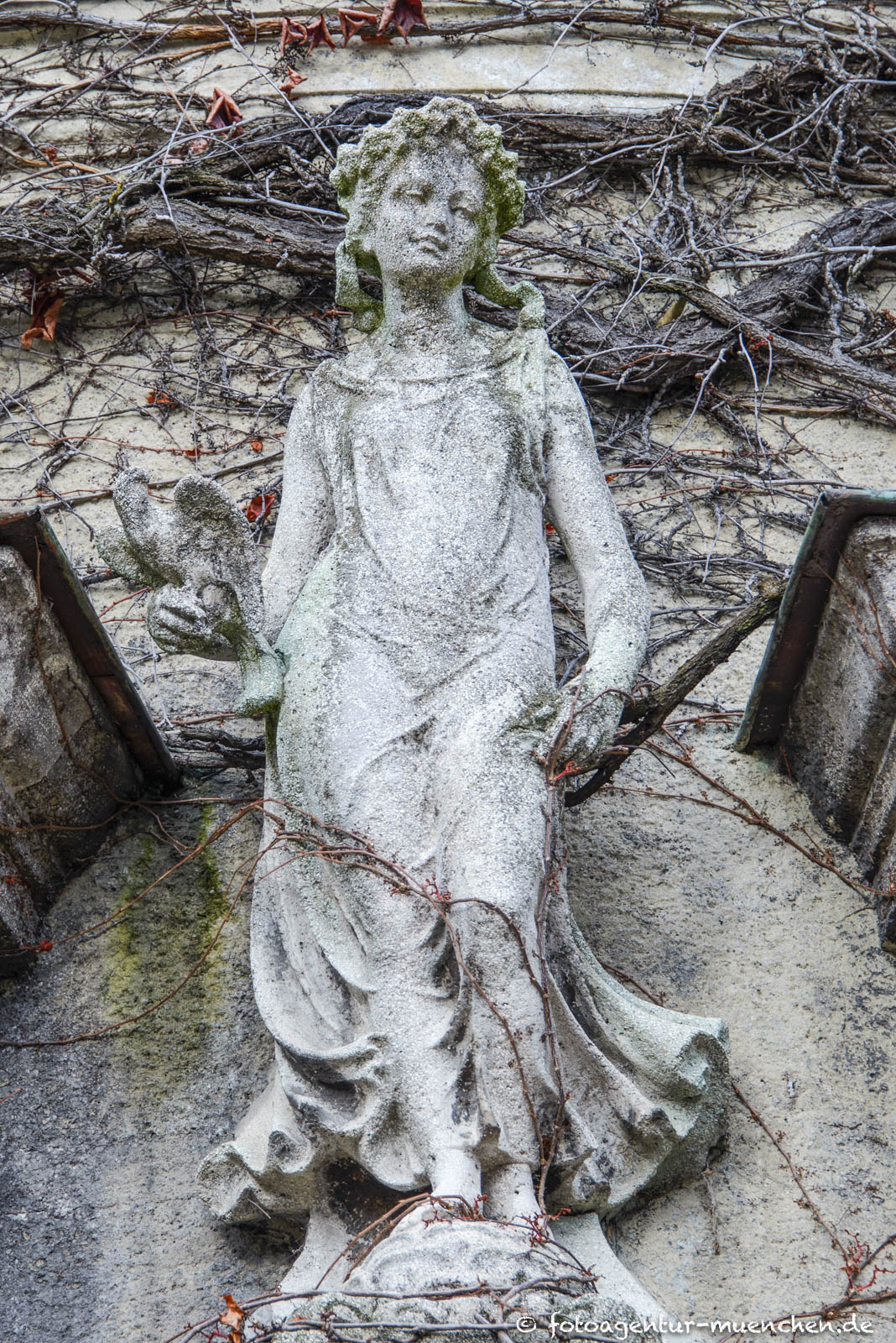 Flora - Botanischer Garten