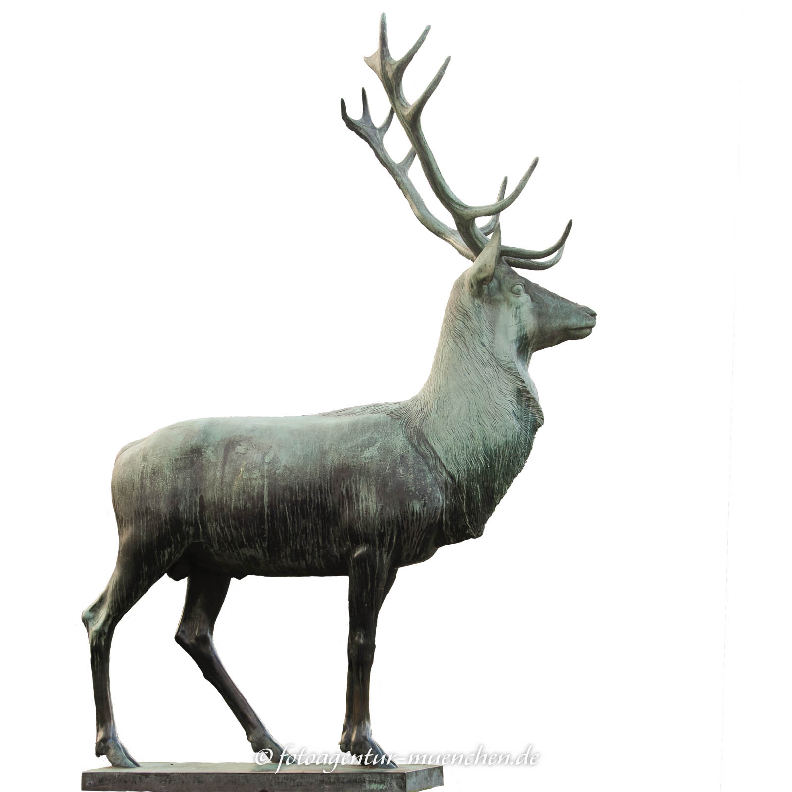 Hirsch (Bavariapark)