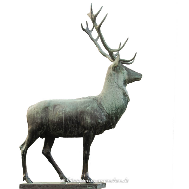 Hirsch Hirsch