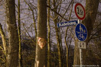 Gerhard Willhalm – Streetart am Kabelsteg