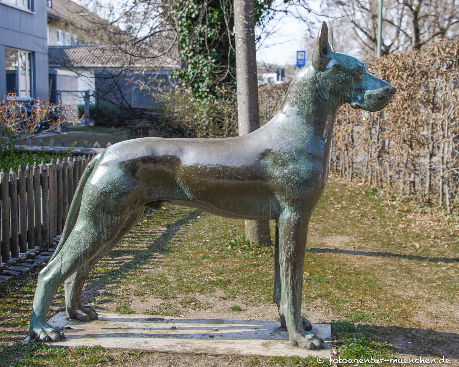 Der Hund