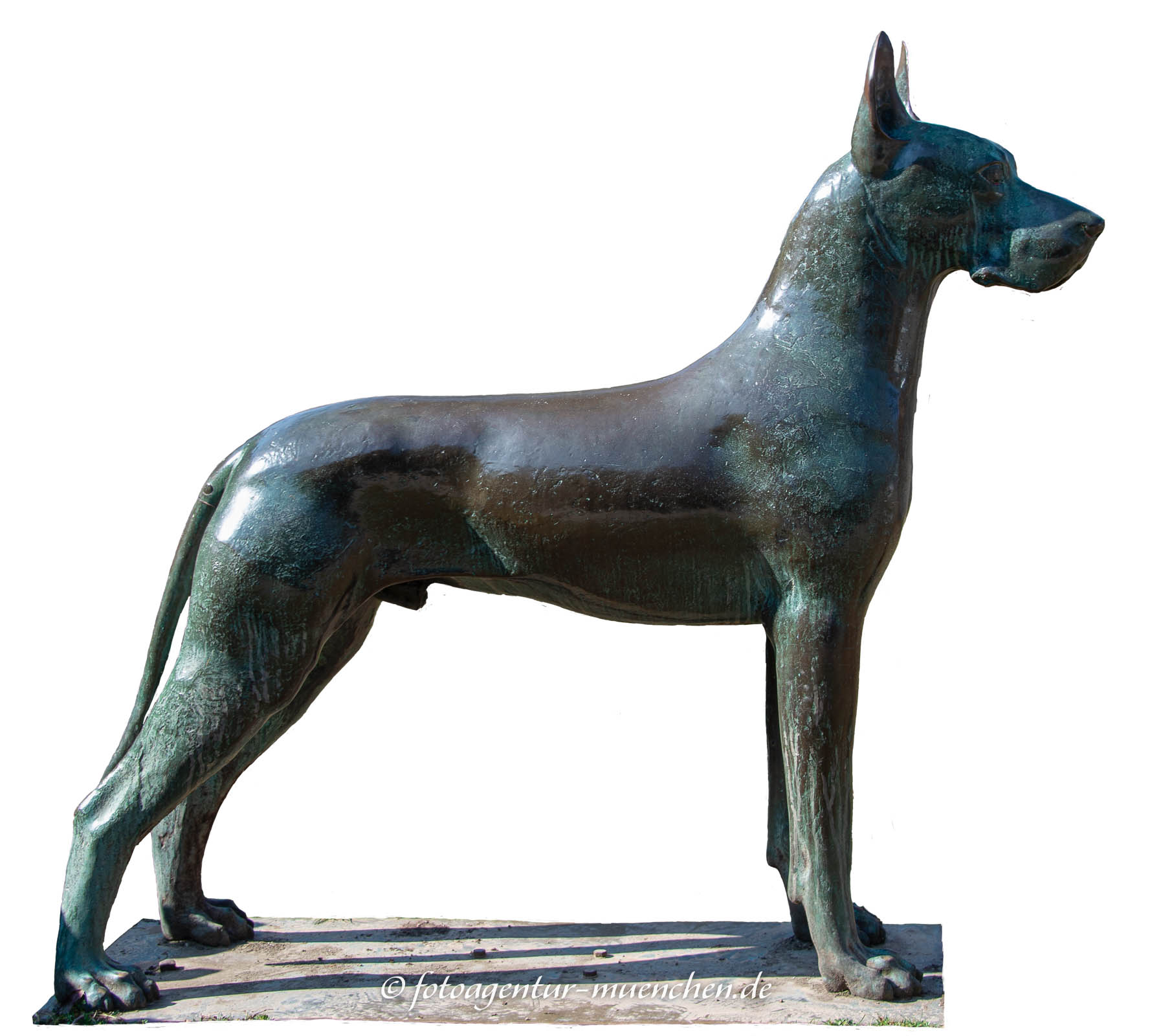 Der Hund
