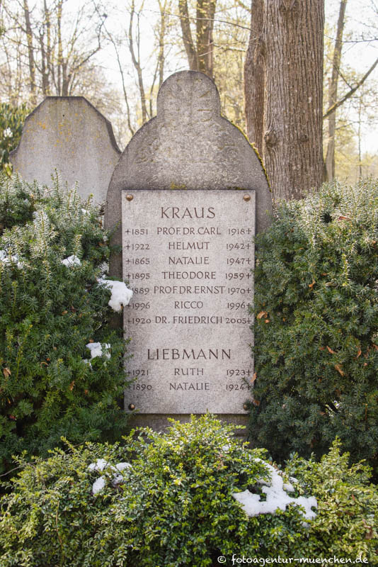 Prof. Dr. Carl Kraus
