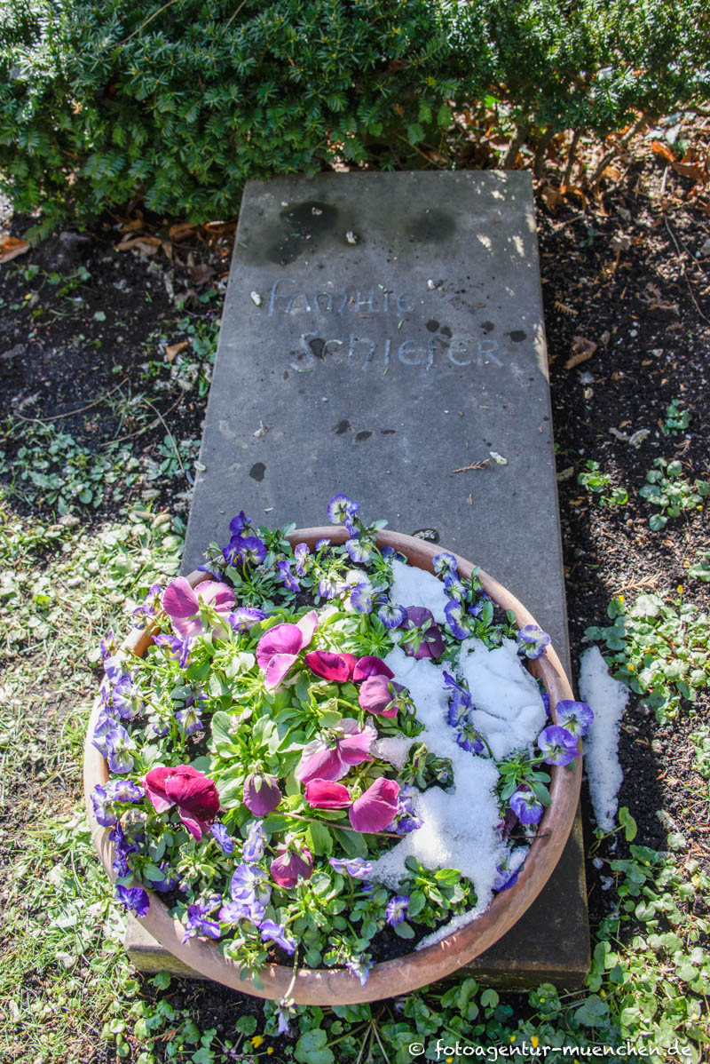 Gustav Schiefer