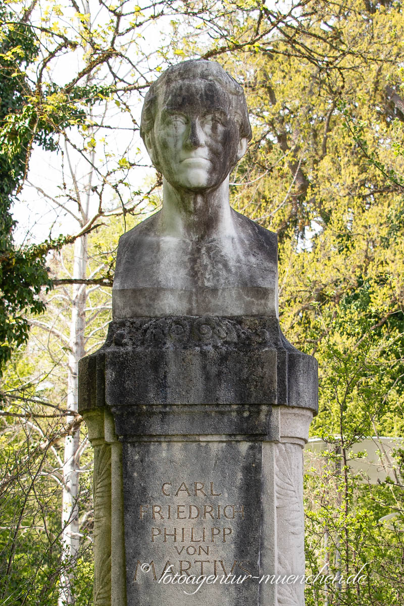Denkmal - Carl Philipp Friedrich von Martius