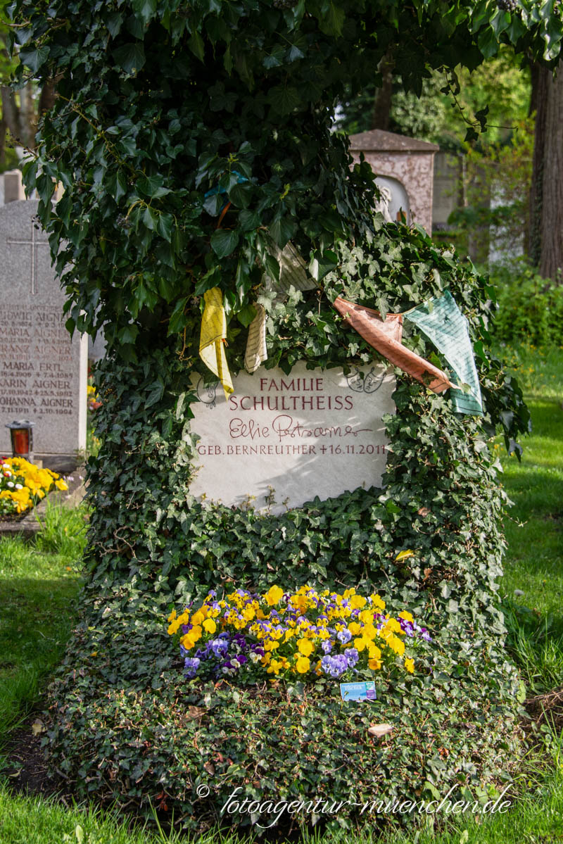 Carl Schultheiss