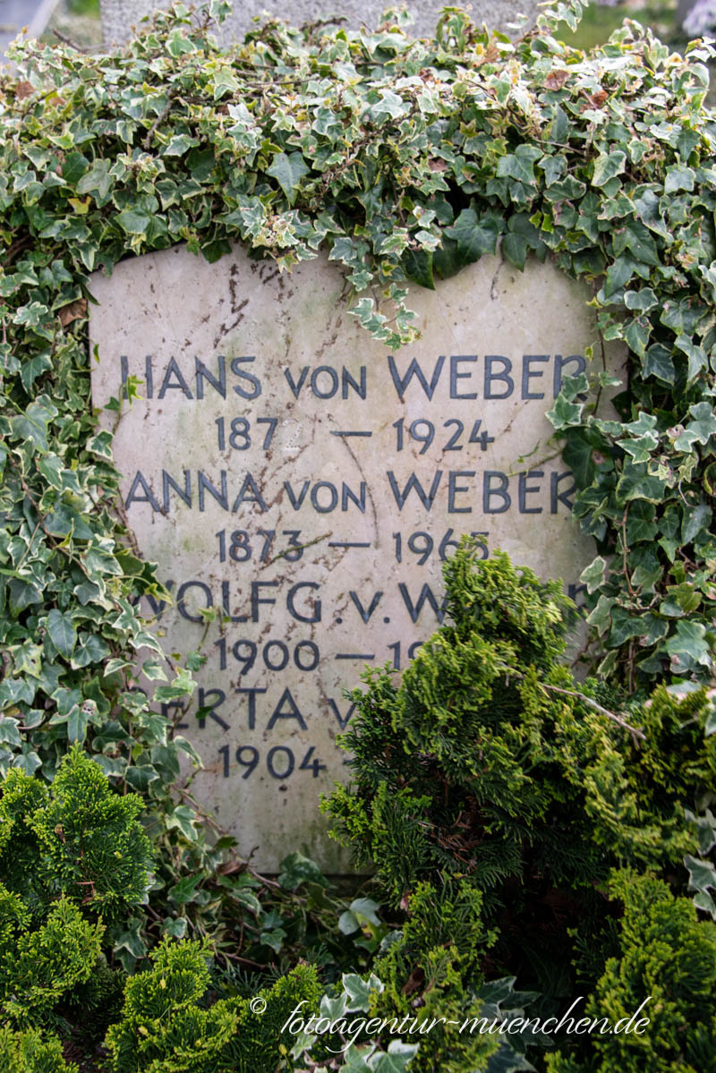 Wolfgang Weber