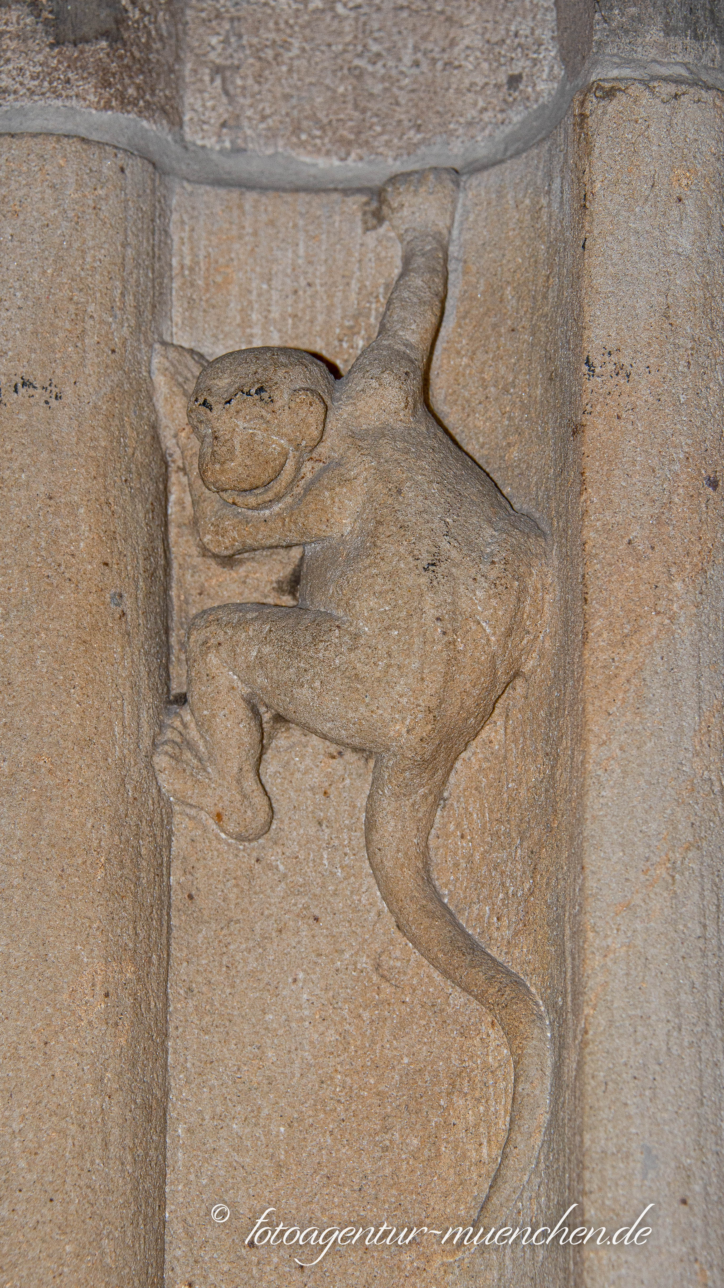 Rathausaffe