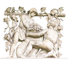 Hopfenbau