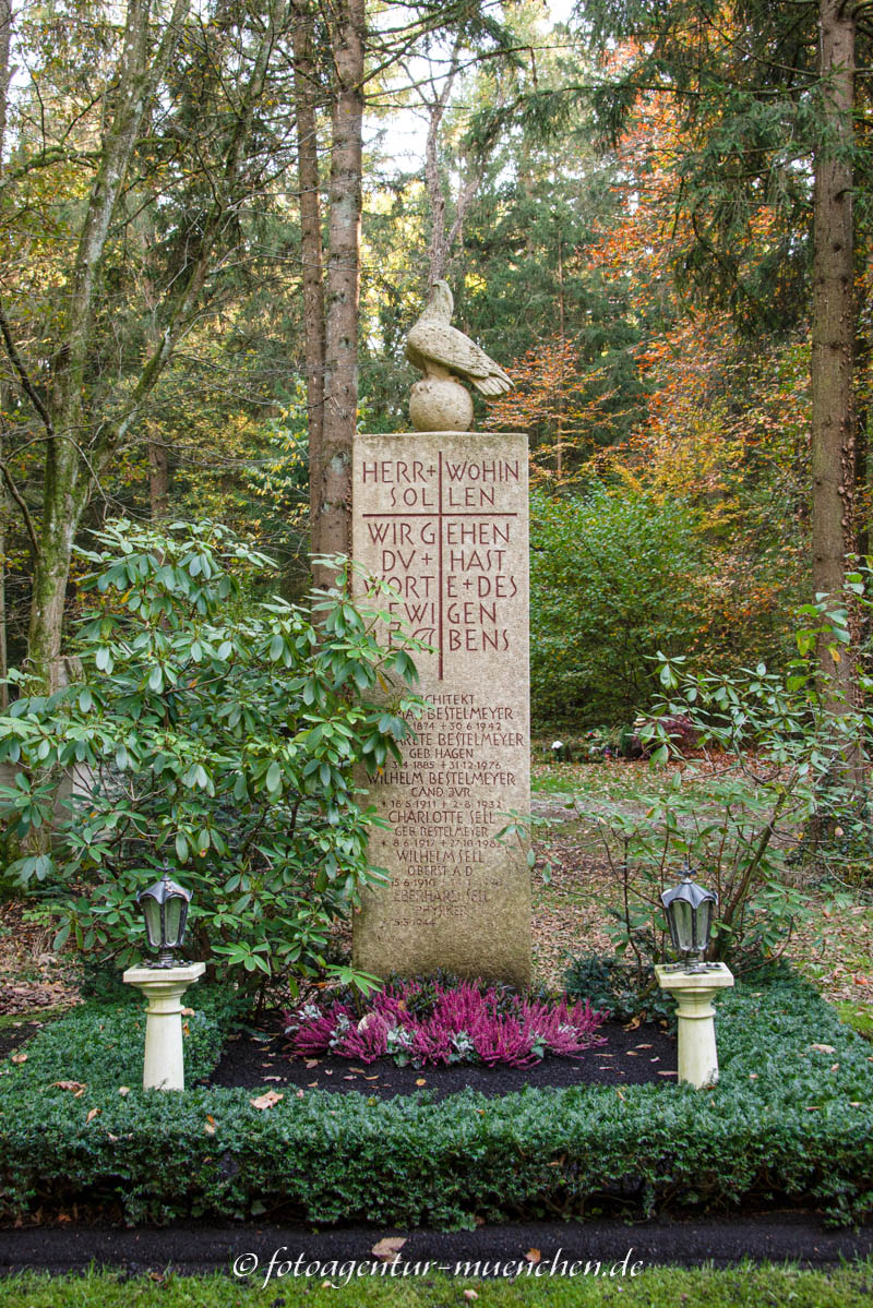 Prof. German Bestelmeyer