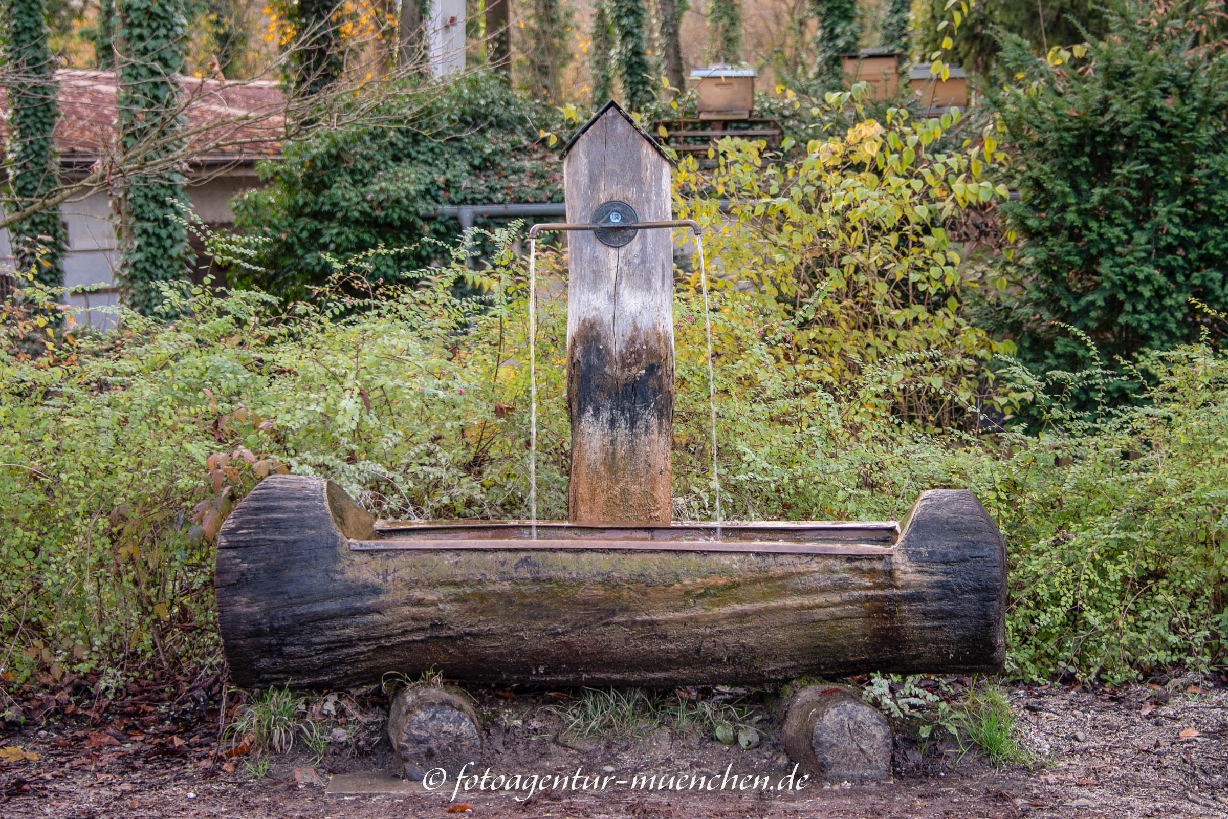Holztrogbrunnen