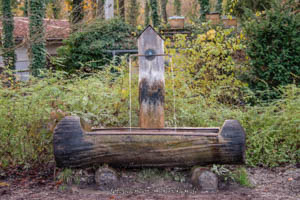 Holztrogbrunnen, Bertschbrunnen