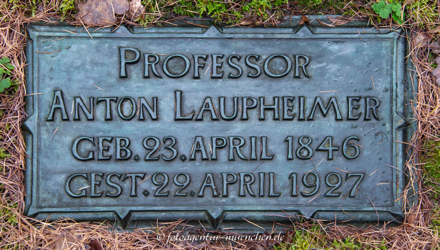 Anton Laupheimer