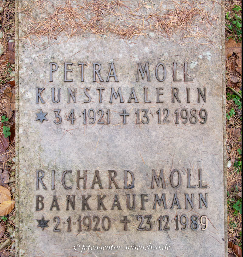 Geab - petra Moll