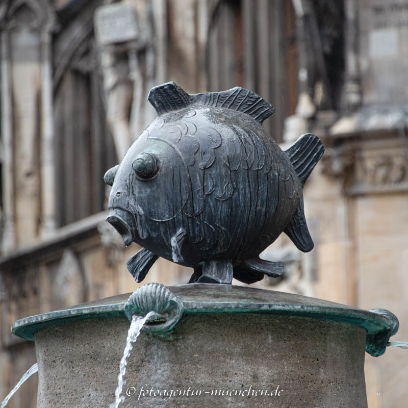 Fischbrunnen (Fisch)