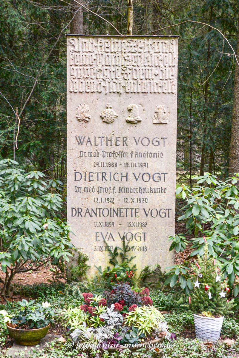 Grab - Walter Vogt