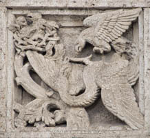 Adler mit Reiher