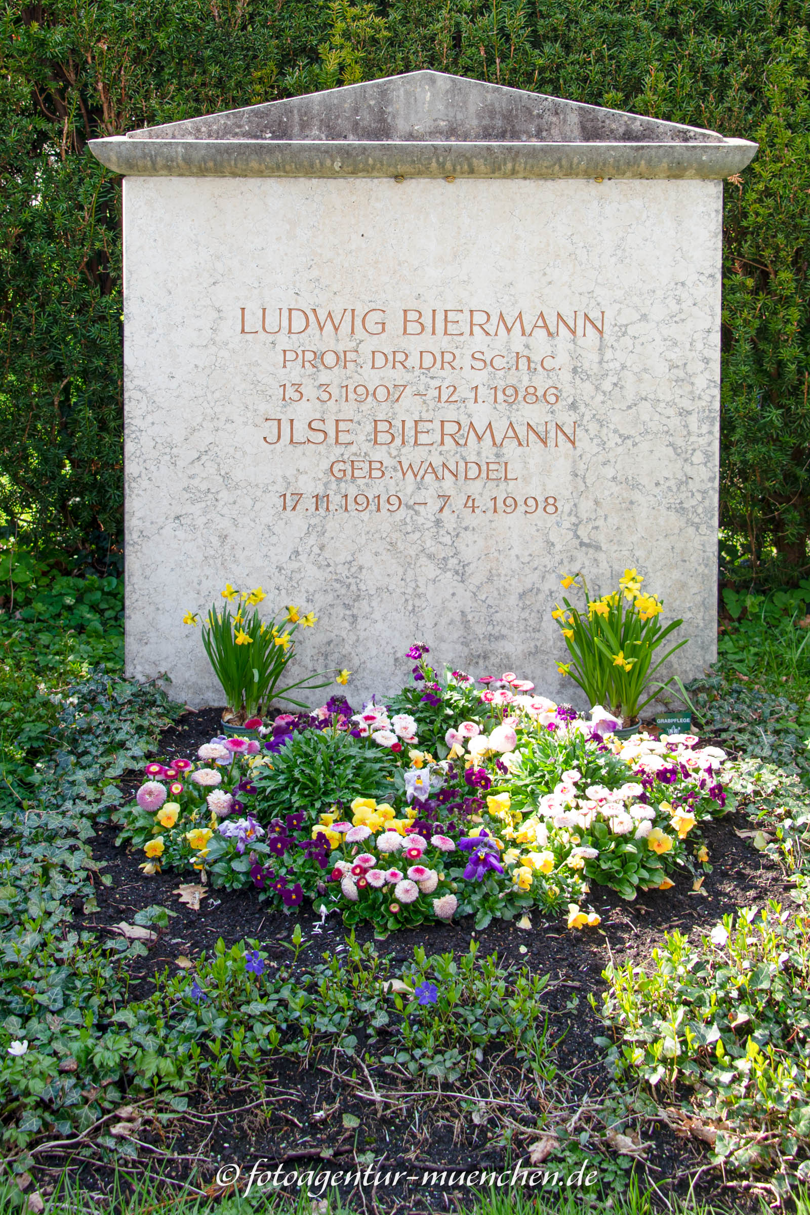 Grab - Biermann Ludwig