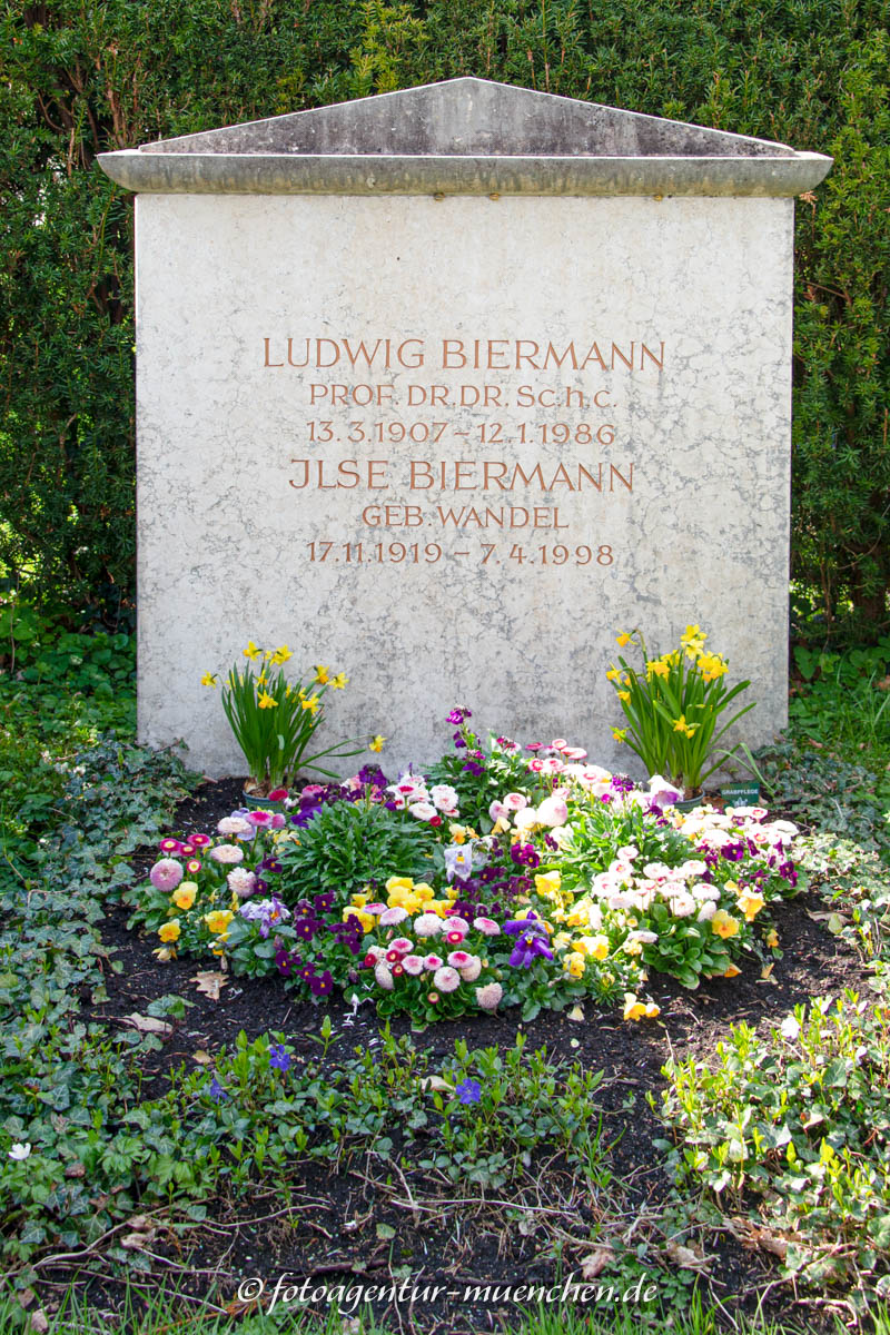 Grab - Biermann Ludwig