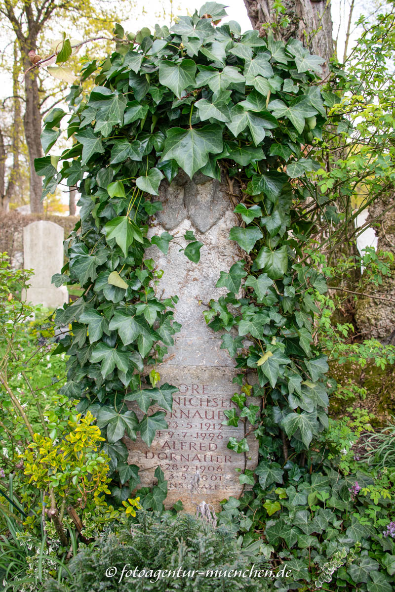 Alfred Dornauer