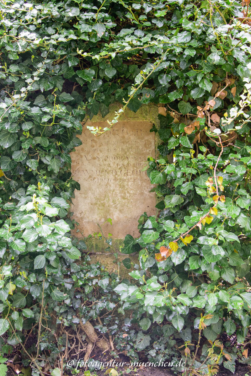Hans Karlinger