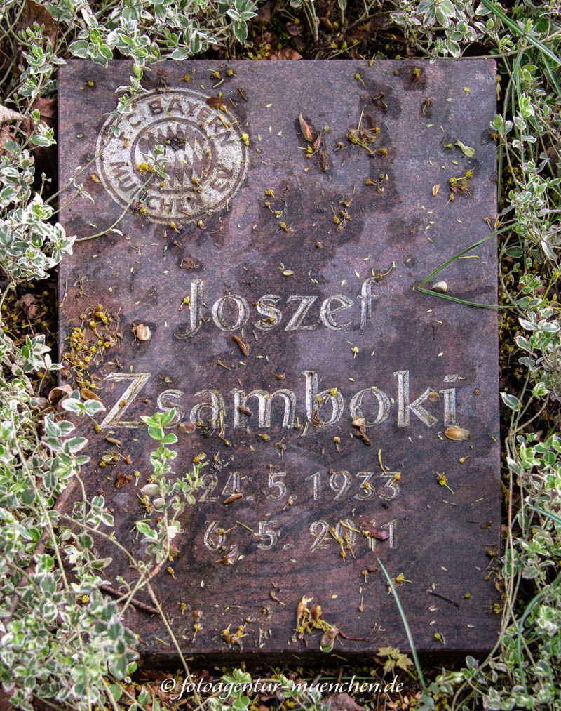 Jozsef Zsamboki