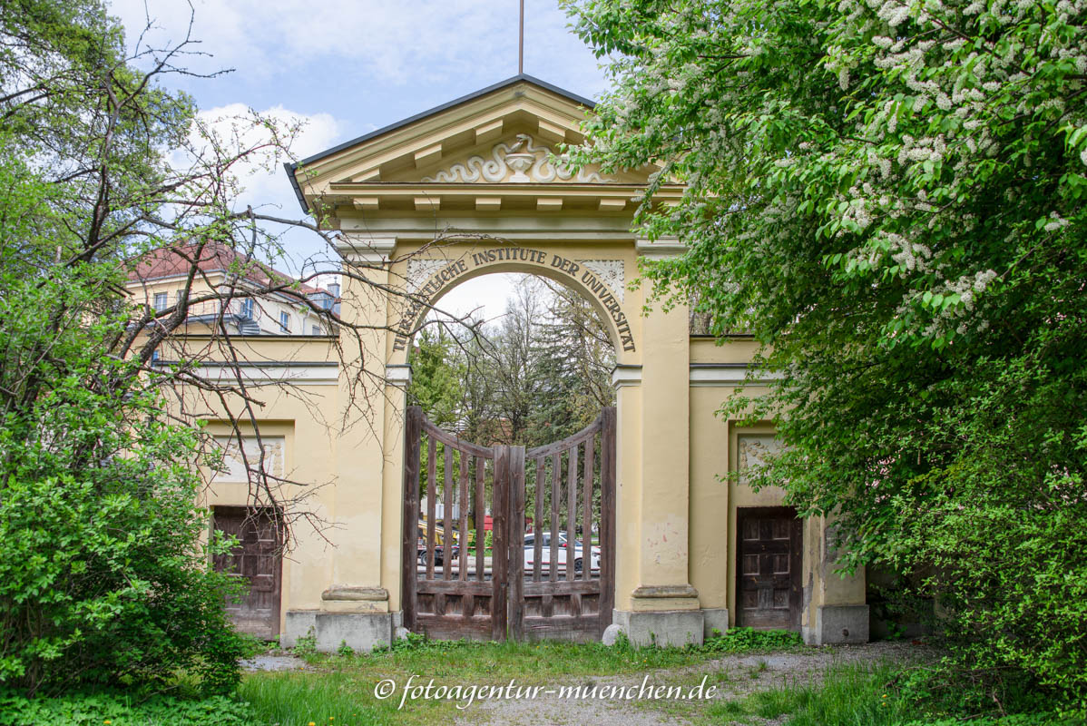 Tierärztliche Institute der Universität