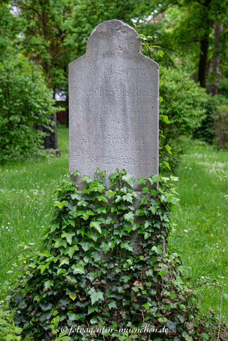Theodor Horschelt