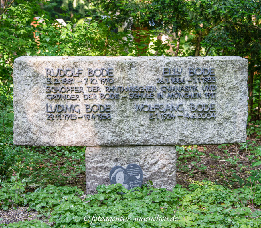 Dr.  Rudolf Bode
