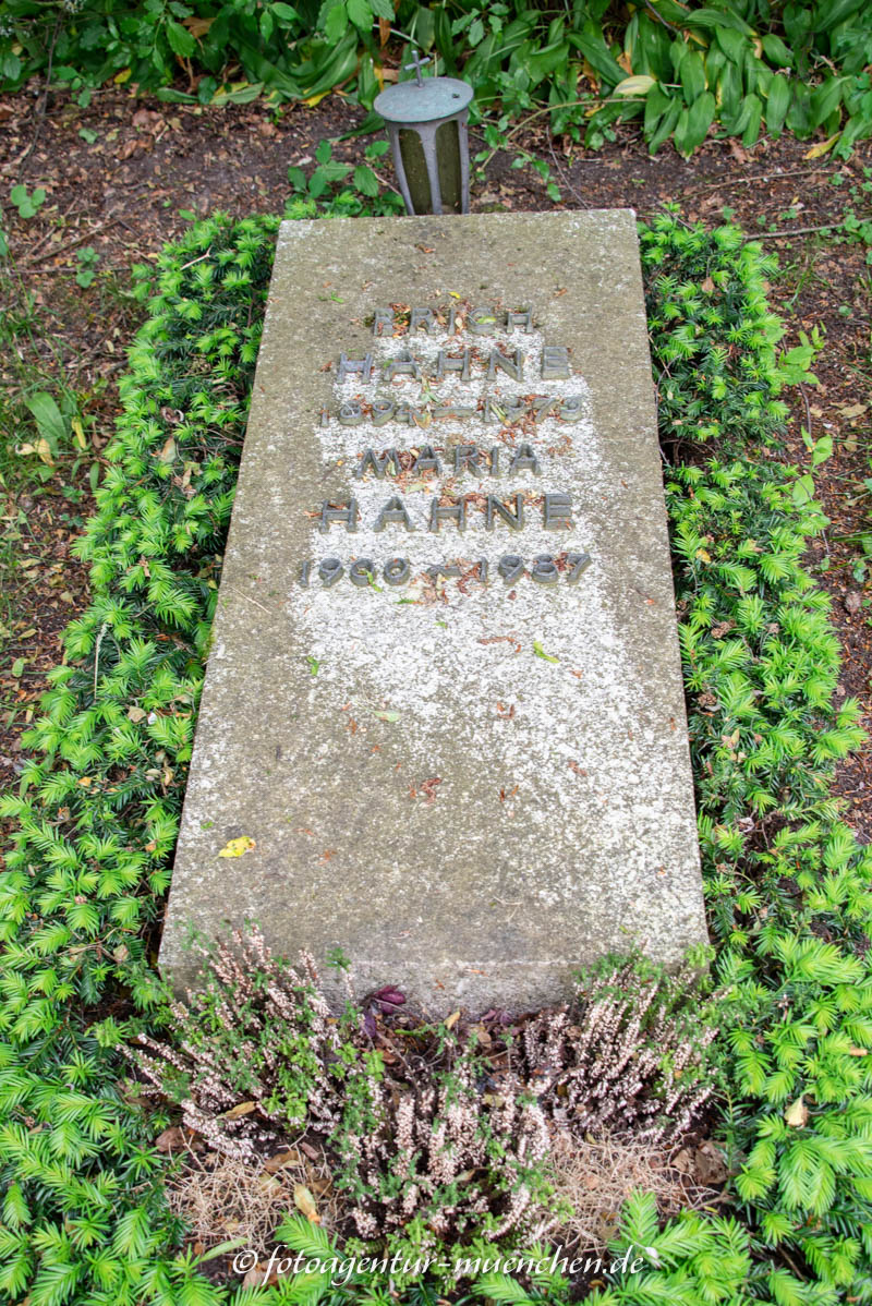Prof. Erich Hahne